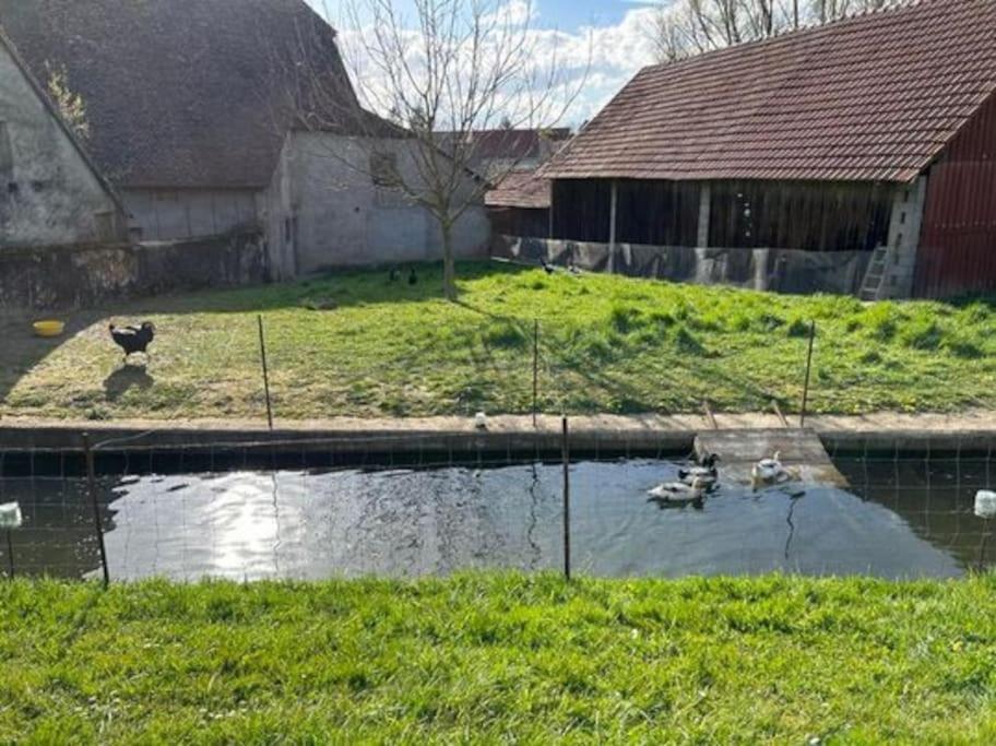 הוילה Rahling Maison Au Sein D'Une Ferme מראה חיצוני תמונה